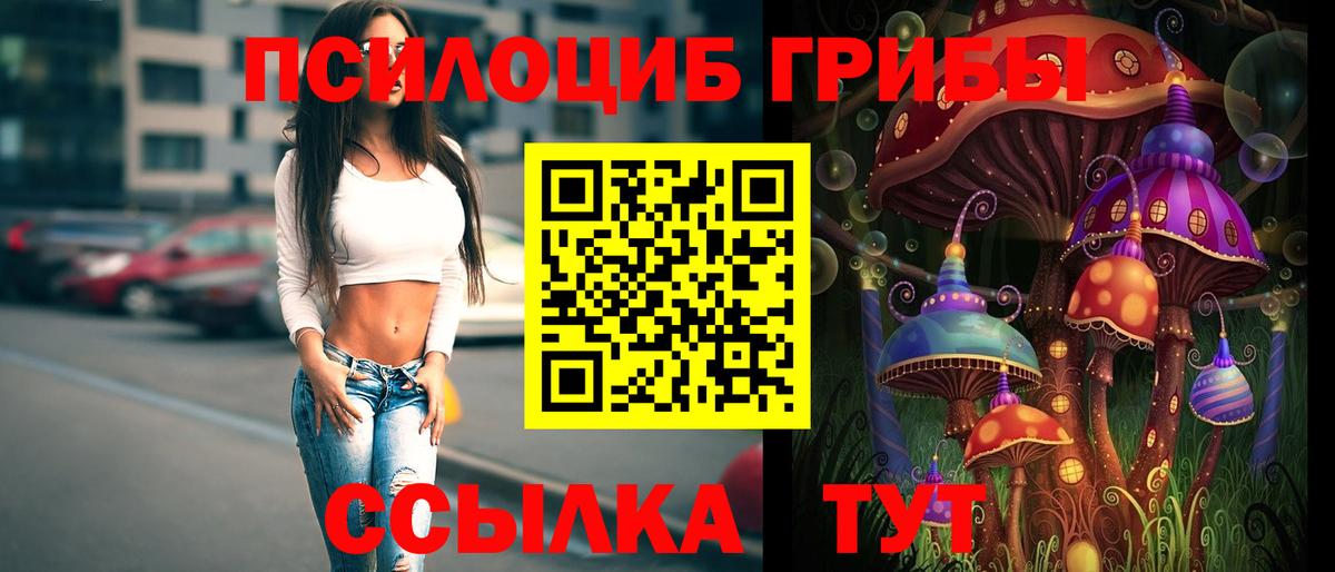 Галлюциногенные грибы прущие грибы  Галлюциногенные грибы Psilocybine cubensis  цена наркотик  Вход с VPN  Саянск 